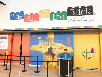 perot museum art of the brick