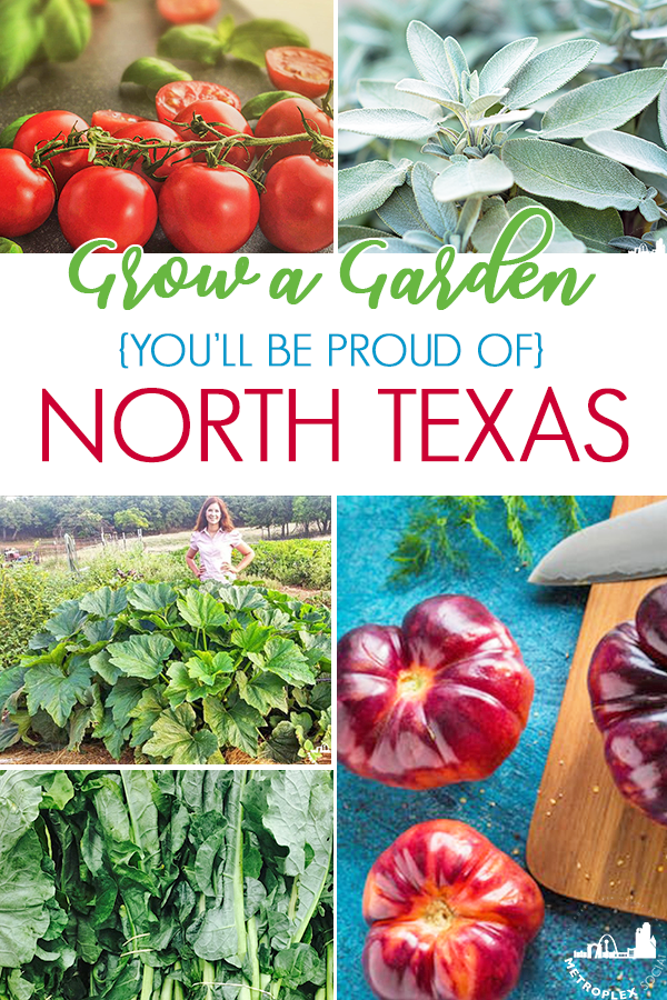 WHAT TO PLANT NORTH TEXAS GARDEN PIN