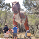 dinosaur world texas dallas day trip pin