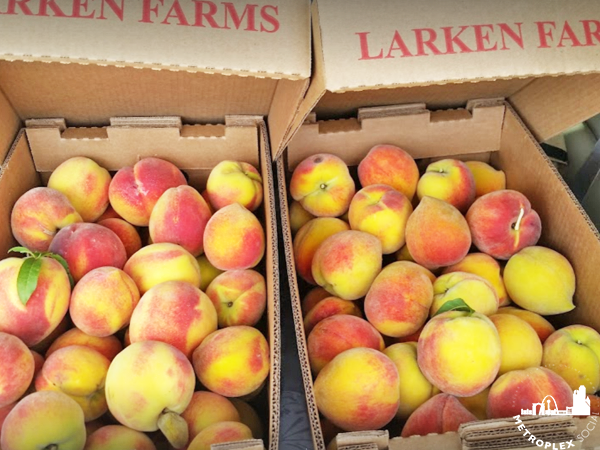 where to pick peaches dallas fort worth LARKEN FARMS ORCHARD