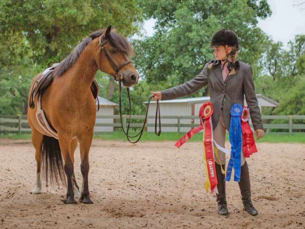 Twisted Oak Manor Argyle texas horseback riding