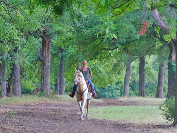 benbrook stables ride a horse in dallas dfw