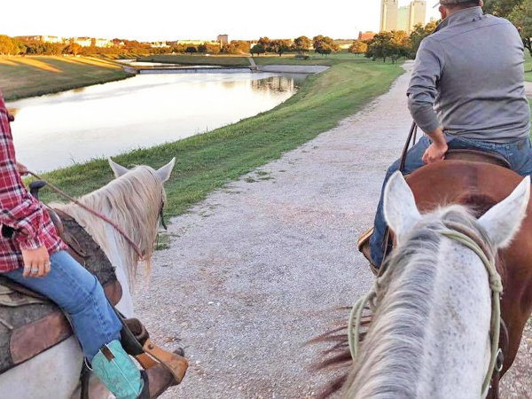 fort worth stockyard stables horseback riding in fort worth