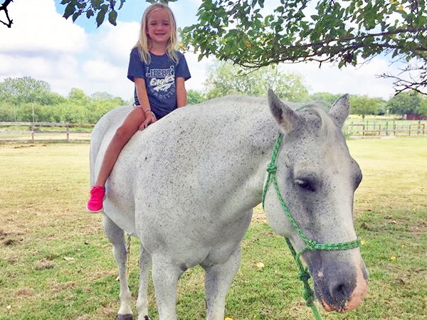 studio at the stables horse riding flower mound tx