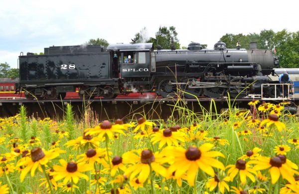 texas state railroad wildflowers