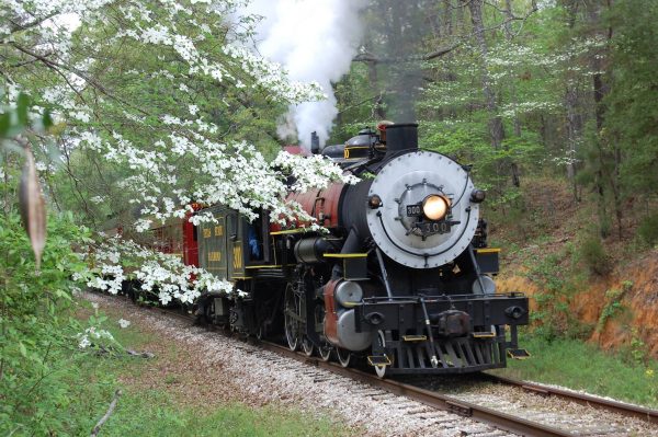 texas state railroad spring flowers