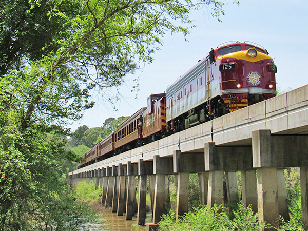 texas state railroad train ride