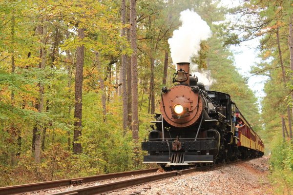 texas state railroad train ride