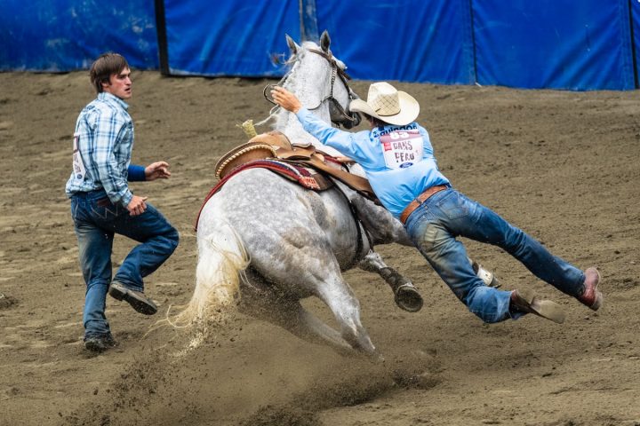 places in texas rodeo