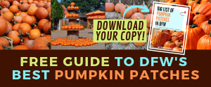 best pumpkin patches in dfw north texas free