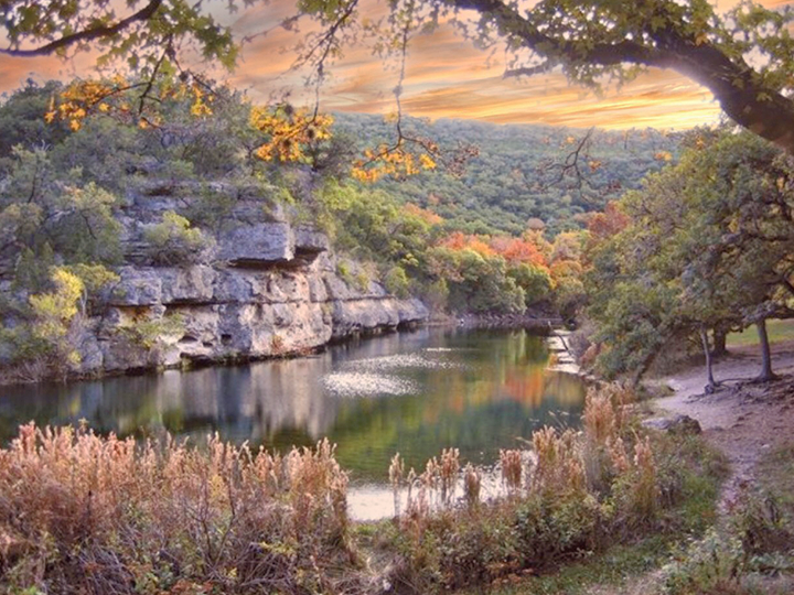 texas fall leaves