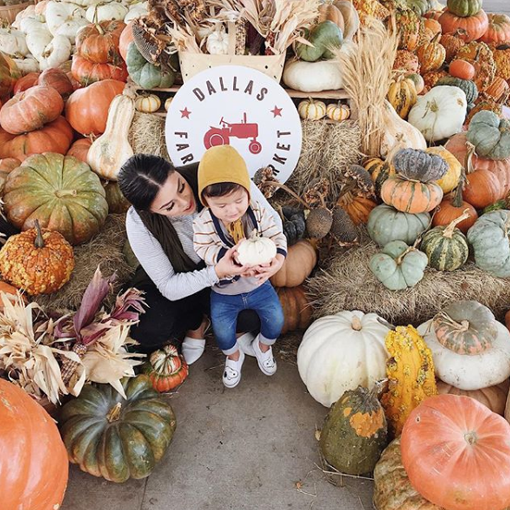 pumpkin patches in dallas