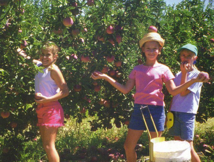 apple picking in texas