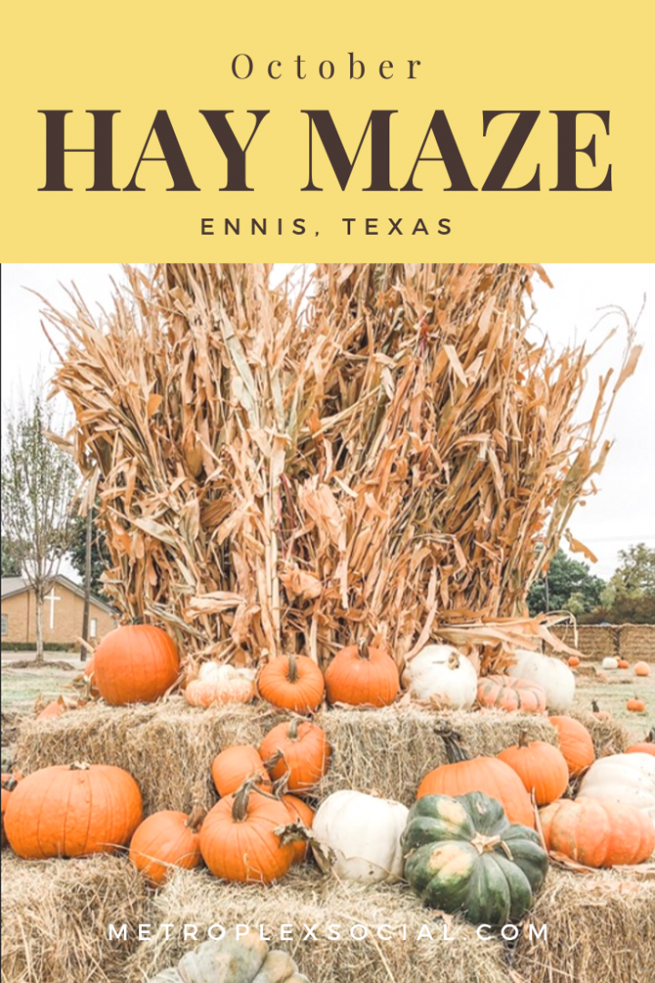 dfw hay maze ennis tx