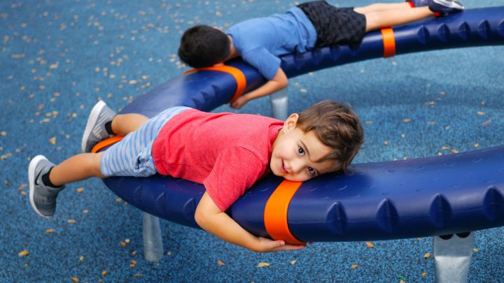 flag hole hill park all inclusive playground