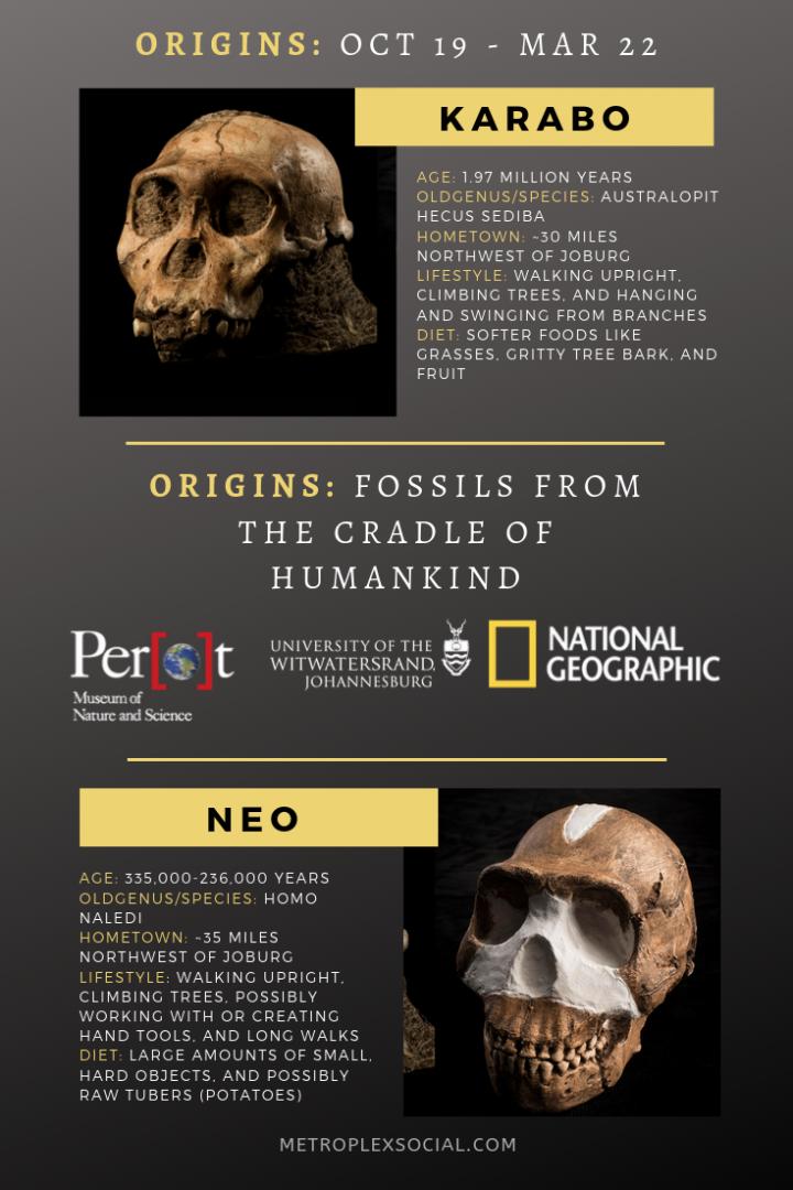 origins fossils perot museum dallas national geographic (1)