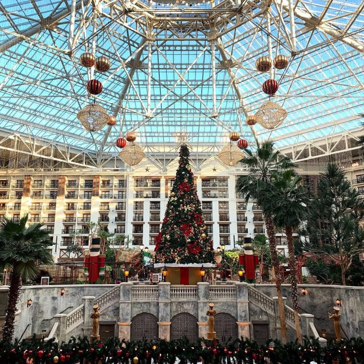 Ice at Gaylord Texan 