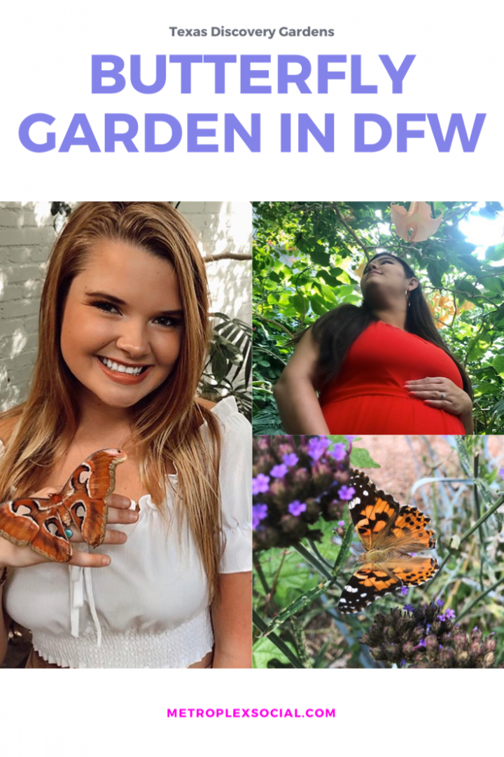 Texas discovery gardens butterfly garden in Dallas 