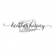 heather harvey fine portraits arlington tx