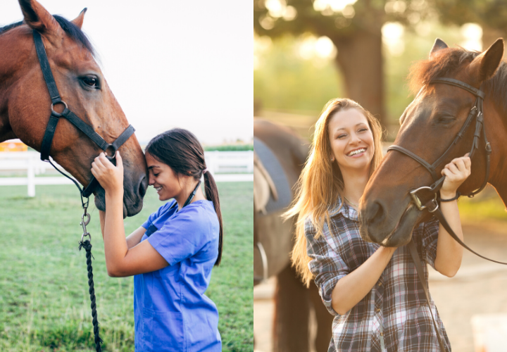 horse riding in dallas fort worth