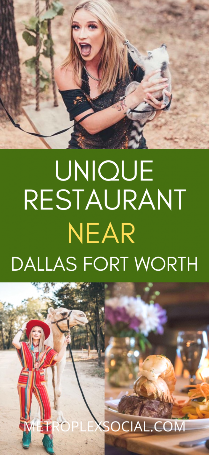 This Unique Restaurant Near Valley View TX Has A Famous Kangaroo And Baby Lemur