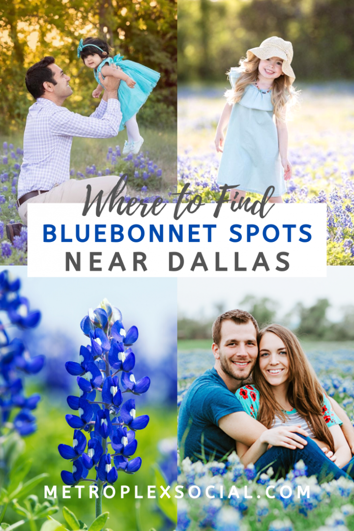 best dfw bluebonnet spots photo locations