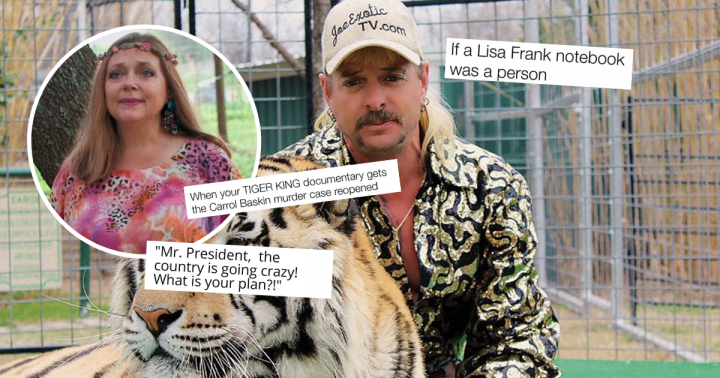 best tiger king memes joe exotic carole baskin jokes