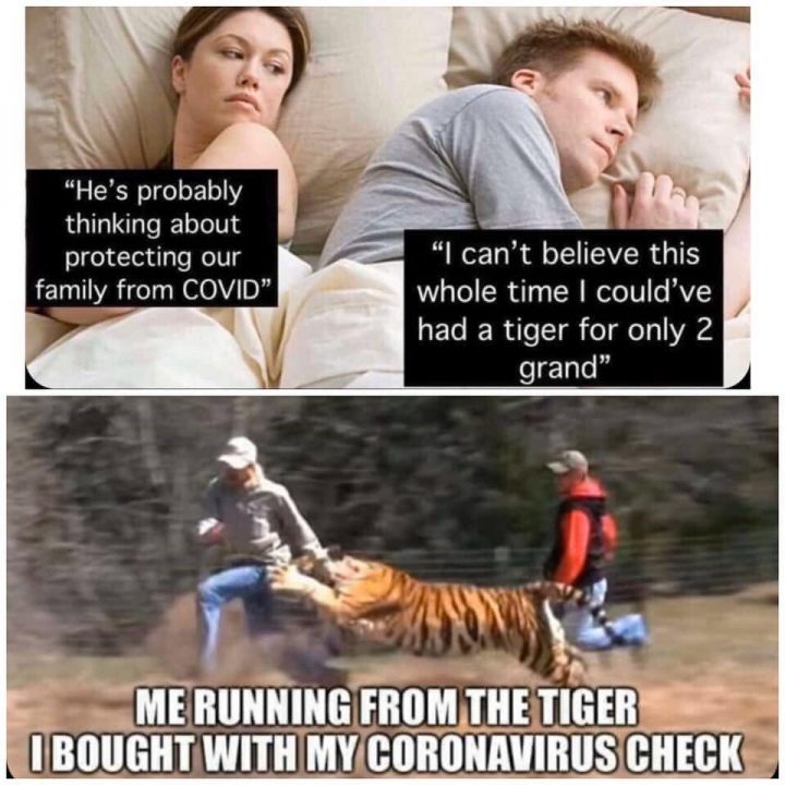 tiger king jokes joe exotic memes