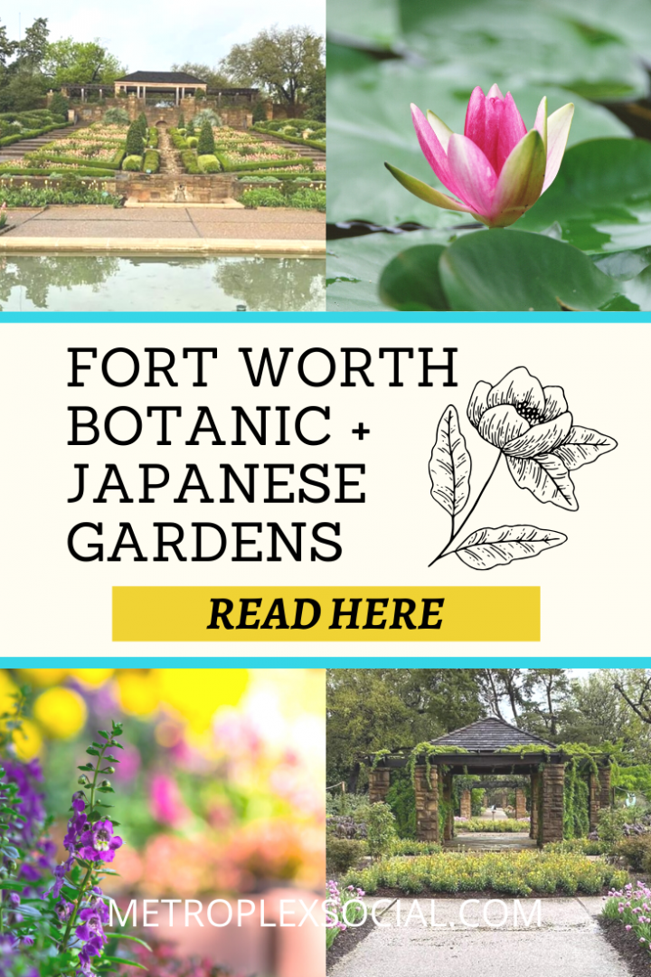 fort-worth-botanic-japanese-garden-reopening-need-to-know