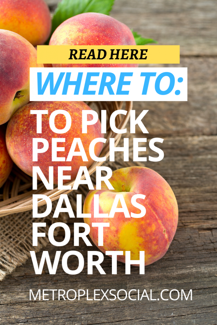 How to Pick the Best Peaches